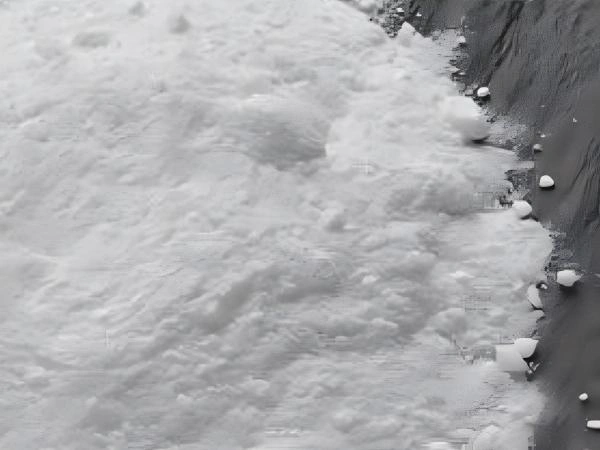 Sale sodico dell’acido solfinico Benzene (SBS)